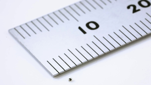 1614995173565869.jpg cizhu (1).jpg